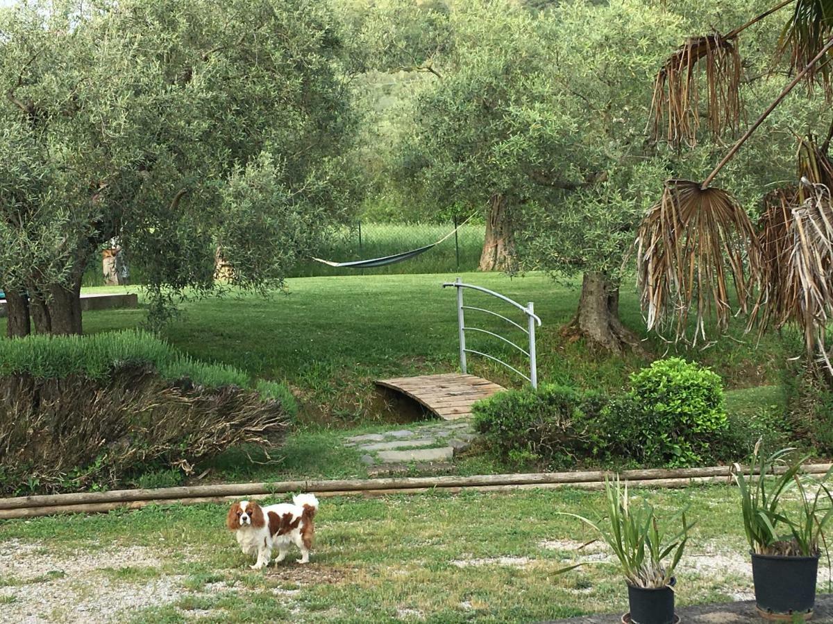 トゥオーロ・スル・トラジメーノ Le Coccole Del Trasimenoゲストハウス エクステリア 写真